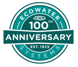 100 anniversary logo